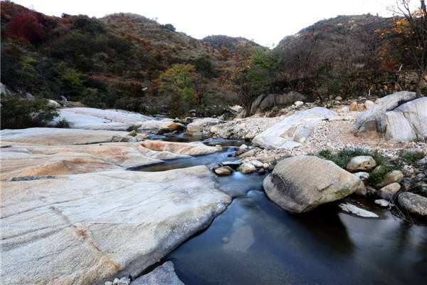 姚家山旅游風景區(qū)賞花拓展游玩好地方